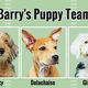 Illustration for article titled Its Time To Draft Your Fantasy Puppy Bowl Team